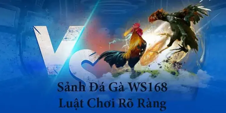 Cách Chơi Đá Gà WS168 Tại King88 Chi Tiết Và Mẹo Thắng Hiệu Quả 1 Cách Chơi Đá Gà WS168 Tại King88 Chi Tiết Và Mẹo Thắng Hiệu Quả