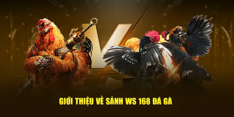 Cách Chơi Đá Gà WS168 Tại King88 Chi Tiết Và Mẹo Thắng Hiệu Quả 2 Cách Chơi Đá Gà WS168 Tại King88 Chi Tiết Và Mẹo Thắng Hiệu Quả