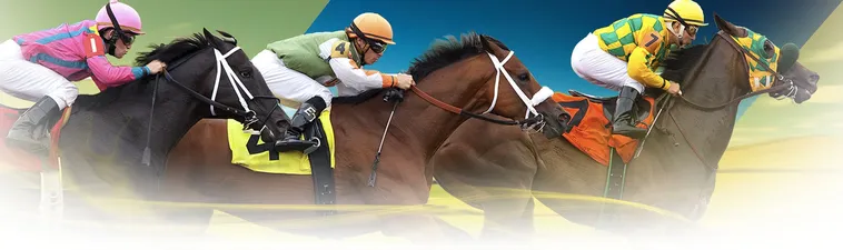 Khám Phá Chi Tiết Cá Cược Đua Ngựa King88 Và Bí Quyết Thắng Lớn